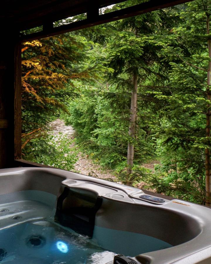 Novosiele Residence - Nad Gorska Rzeka - Lesne Spa Sauna Jacuzzi - Bieszczady Bystre  外观 照片