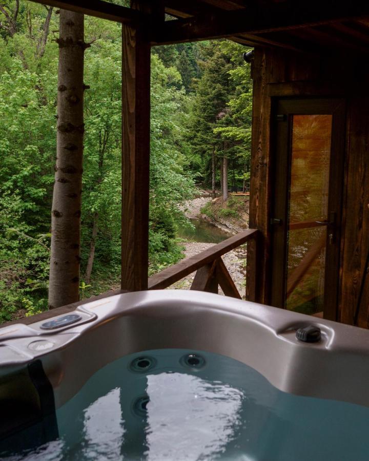 Novosiele Residence - Nad Gorska Rzeka - Lesne Spa Sauna Jacuzzi - Bieszczady Bystre  外观 照片
