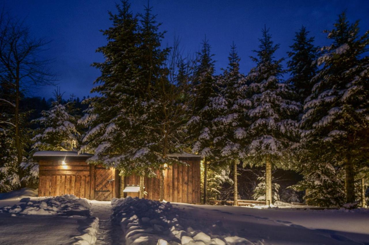 Novosiele Residence - Nad Gorska Rzeka - Lesne Spa Sauna Jacuzzi - Bieszczady Bystre  外观 照片